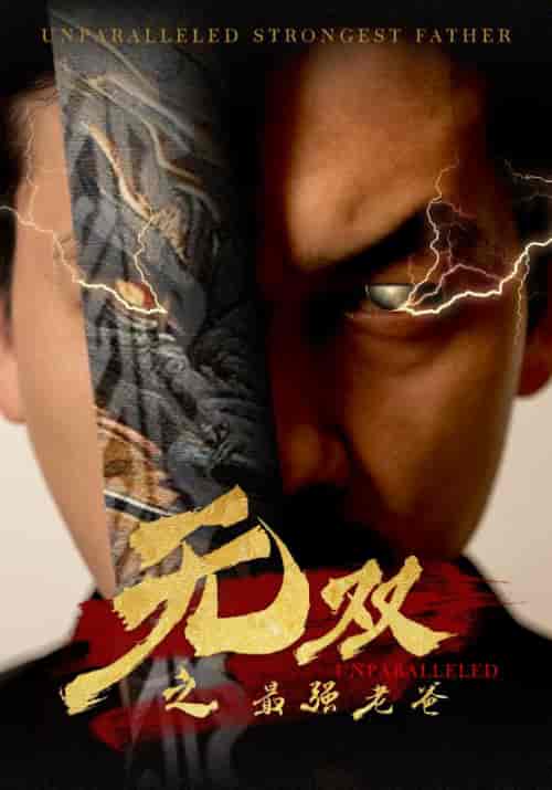 无双之最强老爸（60集）-紫橙资源网
