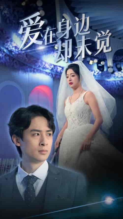 爱在身边却未觉（82集）-紫橙资源网