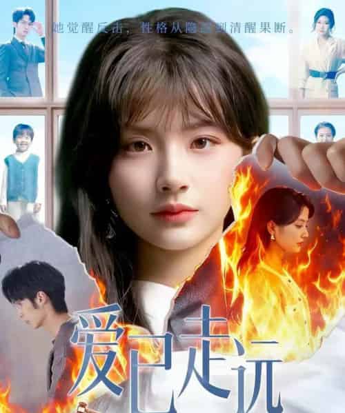 爱已走远（60集全）王浩＆何可人-紫橙资源网