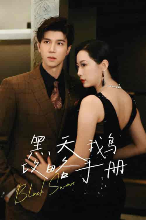 黑天鹅攻略手册（72集全）蹇代莉-紫橙资源网