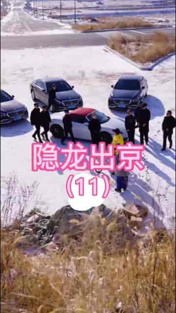隐龙出京（90集）-紫橙资源网