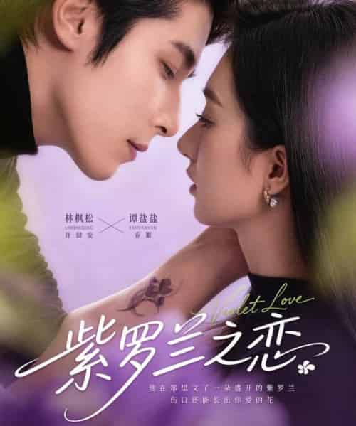 紫罗兰之恋（82集全）谭盐盐＆林枫松-紫橙资源网
