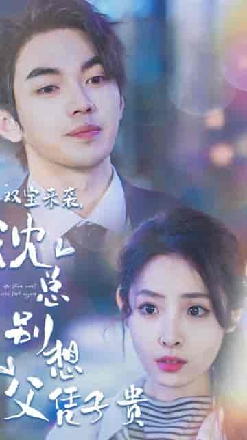 双宝来袭，沈总别想父凭子贵（长篇）-紫橙资源网