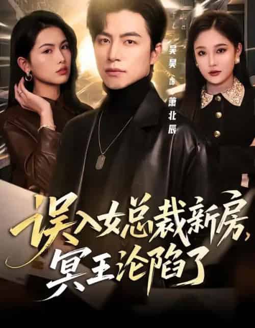 误入女总裁新房,冥王沦陷了(80集全)吴昊&张亚迪-紫橙资源网