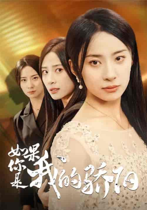 如果你是我的骄阳（30集）施南竹＆岑瑾-紫橙资源网