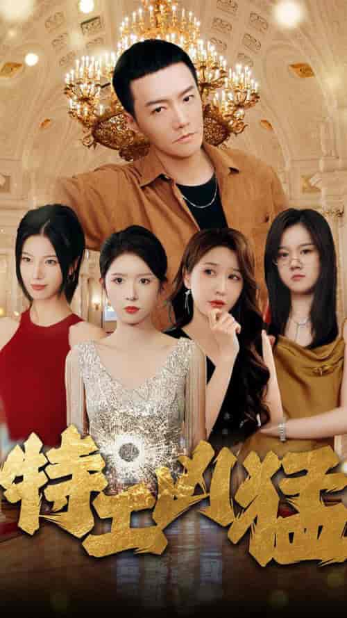 特工凶猛（95集全）-紫橙资源网