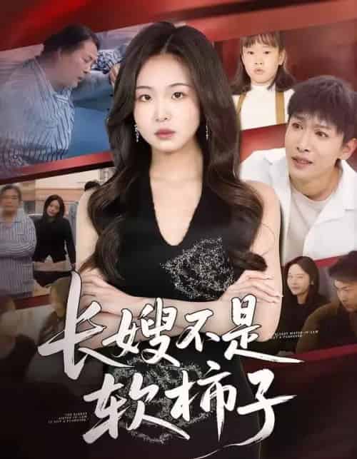 长嫂不是软柿子（50集全）王昊翔＆田嘉蓉-紫橙资源网
