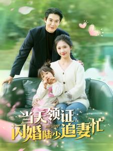 当天领证闪婚陆少追妻忙(80集全)-紫橙资源网