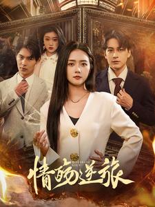 情殇逆旅（90集全）雷玉孟-紫橙资源网