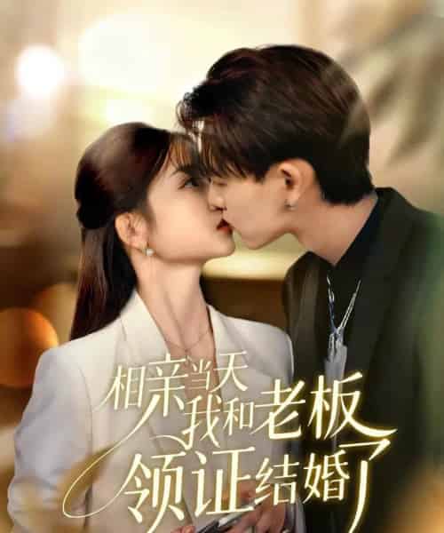 相亲当天我和老板领证结婚了（52集全）刘苗苗＆张本睿-紫橙资源网