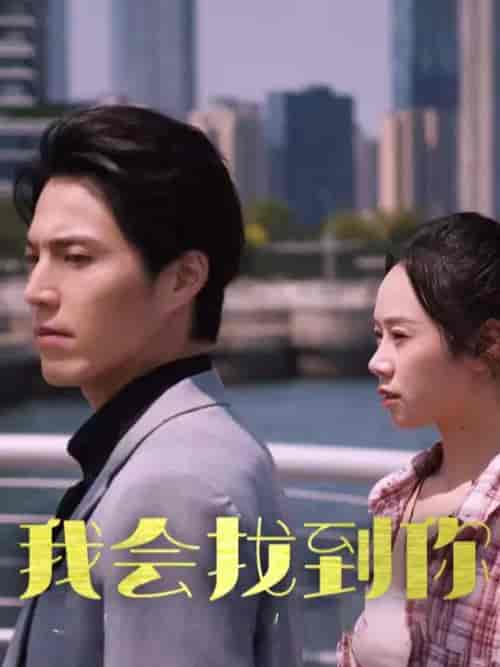 我会找到你（95集全）-紫橙资源网