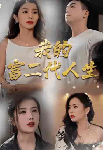 我的富二代人生：长篇-紫橙资源网