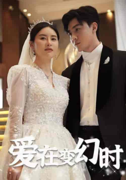 爱在变幻时（85集）-紫橙资源网