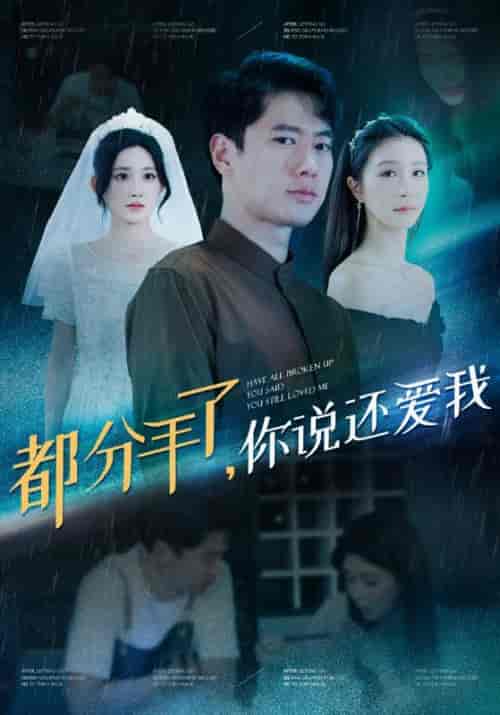 都分手了，你说还爱我（33集全）陈凡＆王琳-紫橙资源网