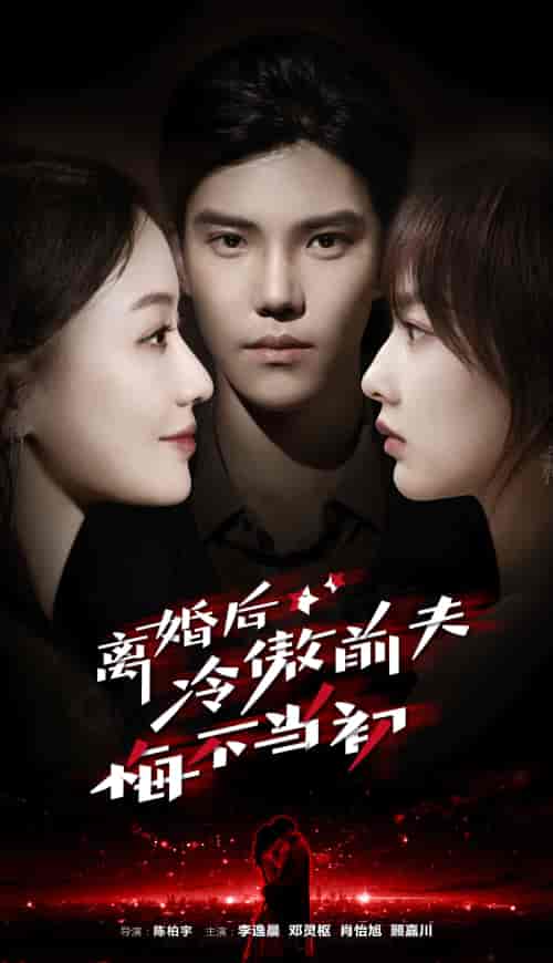 离婚后冷傲前夫悔不当初(83集)邓灵枢-紫橙资源网