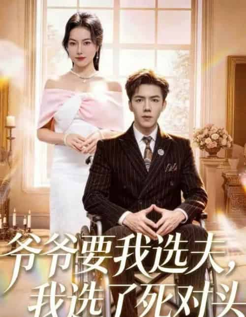 爷爷要我选夫，我选了死对头（66集全）辛润茜＆江七昂-紫橙资源网