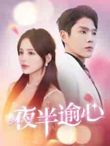 夜半逾心（100集）-紫橙资源网