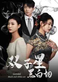 双子星黑白切（82集）-紫橙资源网