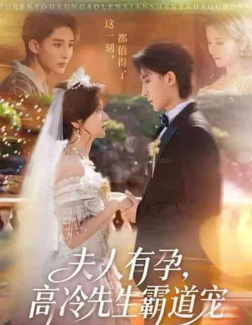 夫人有孕，高冷先生霸道宠（60集全）李思潼＆译泽-紫橙资源网