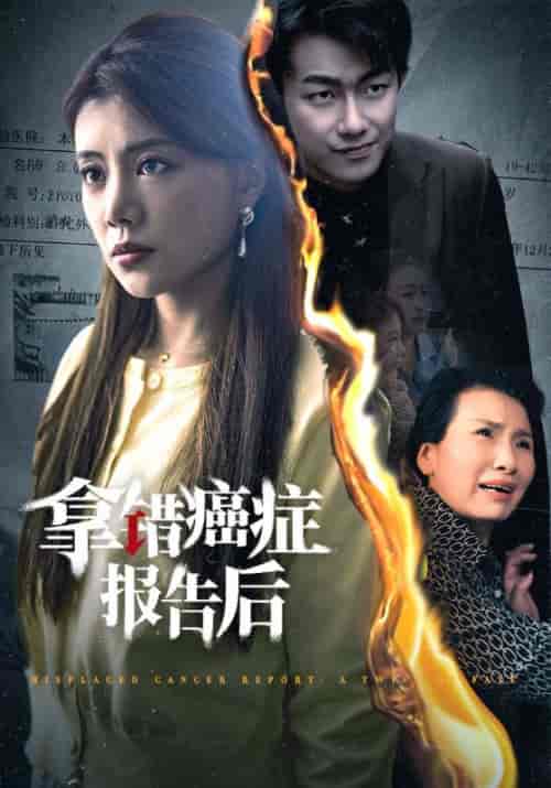 拿错癌症报告后（33集全）赵志刚＆潘月-紫橙资源网