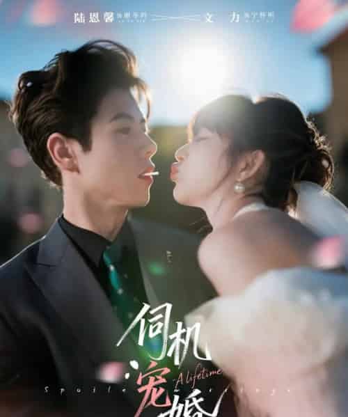 伺机宠婚（80集全）文力＆陆恩馨-紫橙资源网