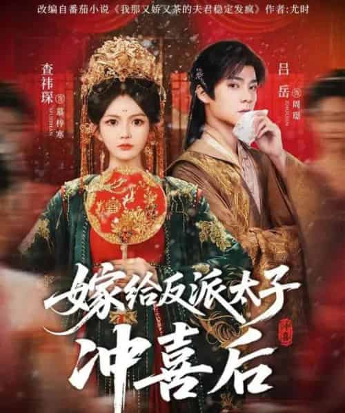 嫁给反派太子冲喜后（64集全）吕岳＆查袆琛-紫橙资源网