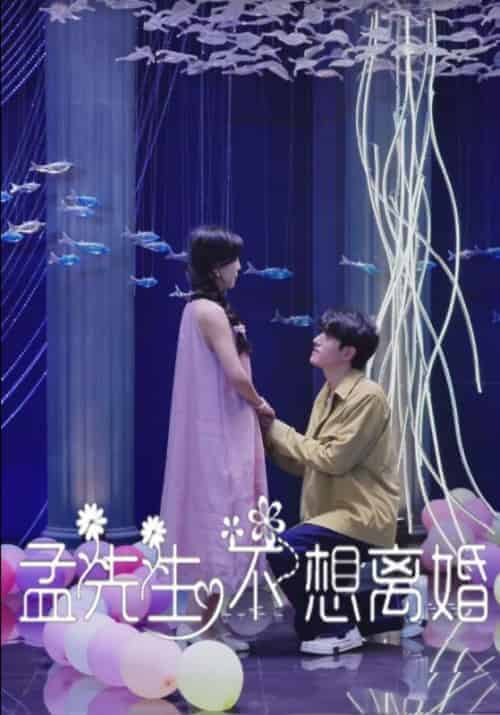 孟先生不想离婚(30集全)孟济川&宋暖-紫橙资源网