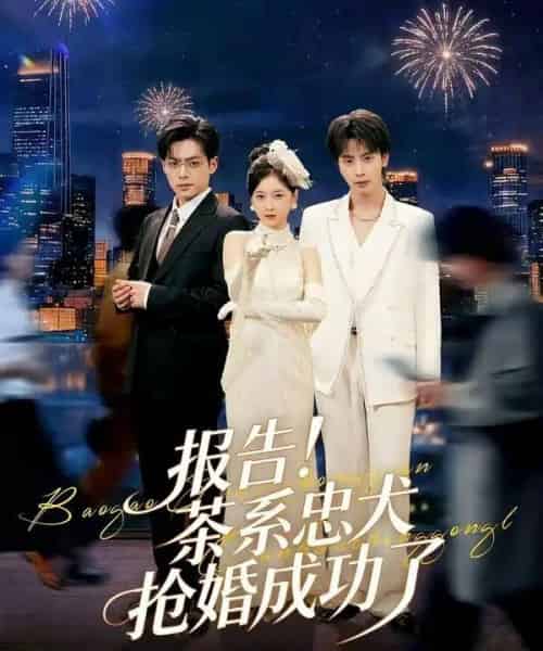 报告！茶系忠犬抢婚成功了（83集全）夏志成＆李珈童-紫橙资源网