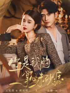 你是我的掌心朱砂痣（80集）孟娜-紫橙资源网