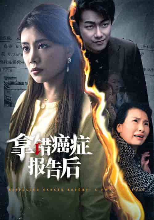 拿错癌症报告后（33集全）-紫橙资源网
