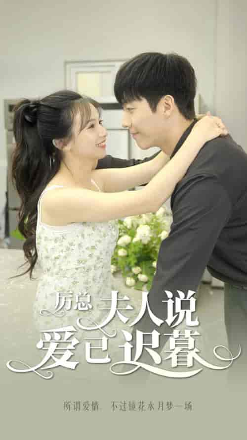 厉总,夫人说爱已迟暮(100集)-紫橙资源网