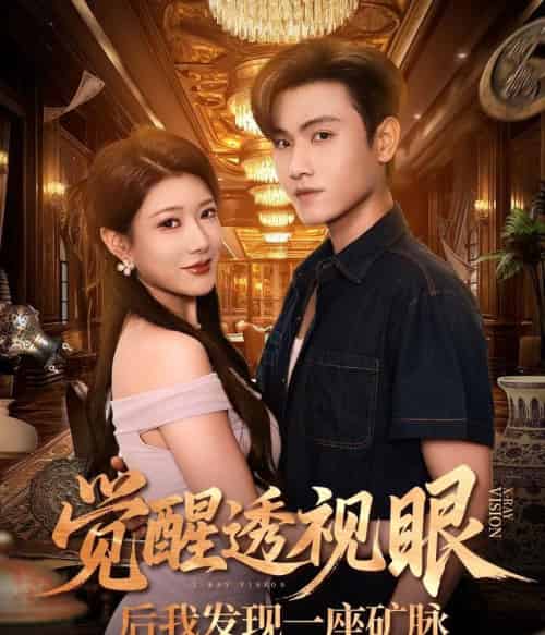 觉醒透视眼后我发现一座矿脉 (70集全) 尹竹&王宇峰-紫橙资源网