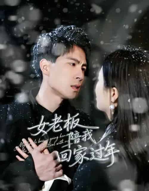 女老板陪我回家过年（40集全）罗珊珊＆贺翔-紫橙资源网