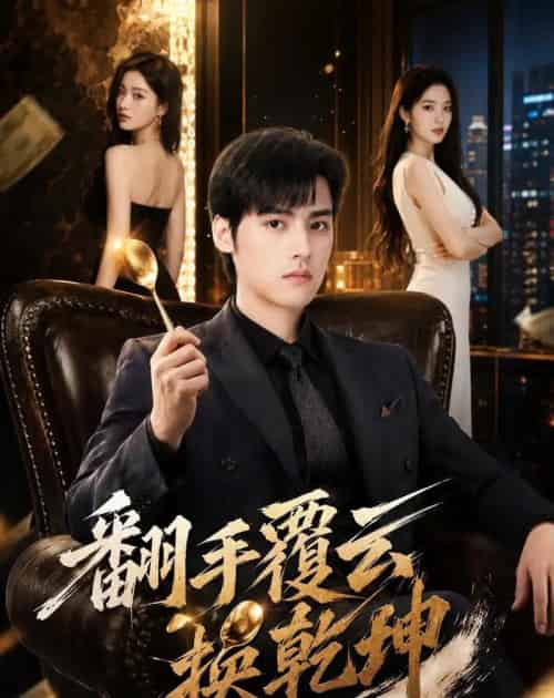 翻手覆云还乾坤（80集全）-紫橙资源网