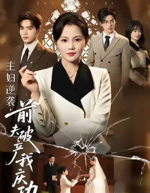 主妇逆袭,前夫破产我庆功(36集全)向云茜&陈团-紫橙资源网