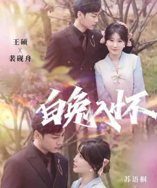 白兔入怀（60集全）星硕＆苏语桐-紫橙资源网