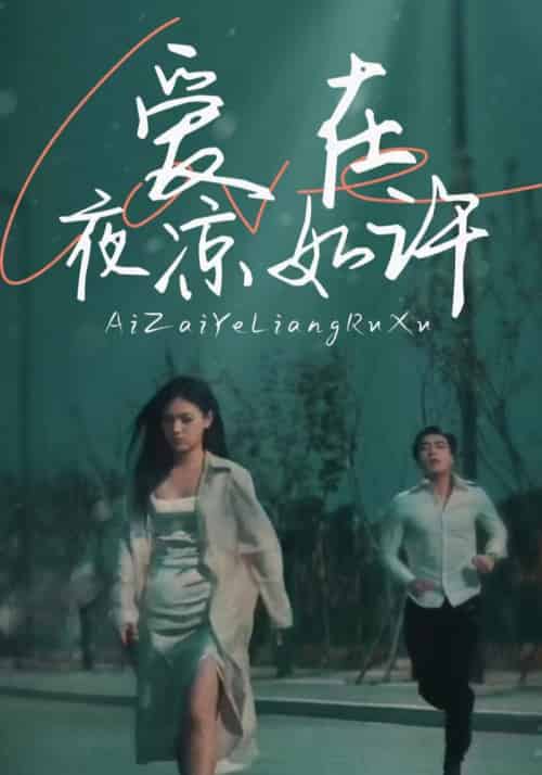 爱在夜凉如许（80集全）季慕寒＆叶宁-紫橙资源网