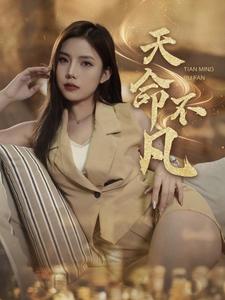 天命不凡（28集全）-紫橙资源网