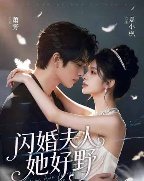 闪婚夫人她好野（69集全）AI-紫橙资源网