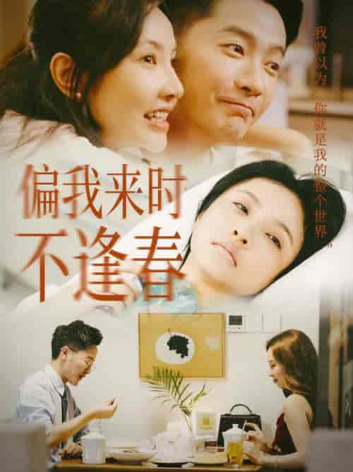 偏我来时不逢春（36集全）-紫橙资源网