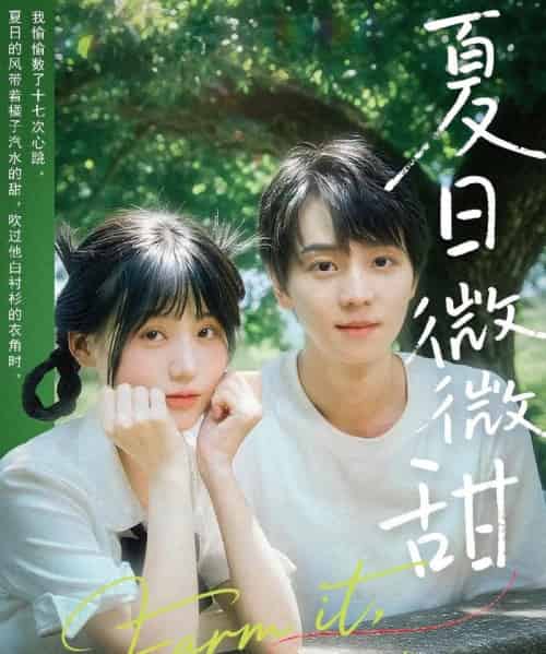 夏日微微甜（79集）苏泽林＆宋澎澎-紫橙资源网