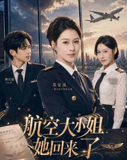 航空大小姐她回来了（60集全）夏天琪＆戴睿-紫橙资源网