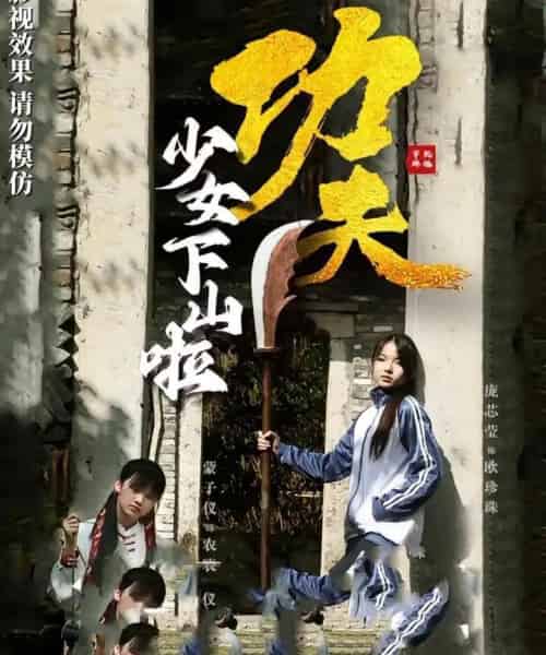 功夫少女&功夫少女下山啦(100集)-紫橙资源网