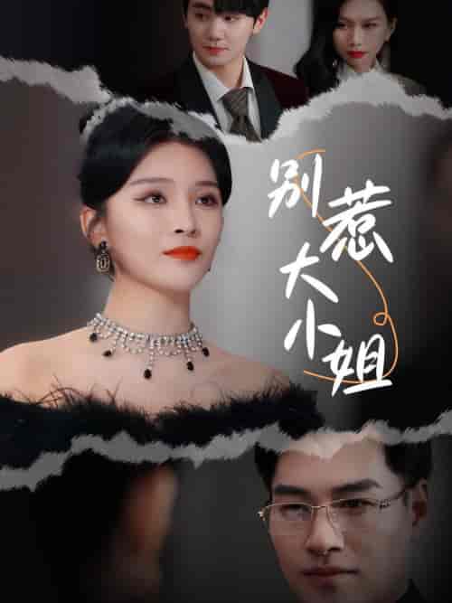 别惹大小姐（31集全）杨妍-紫橙资源网