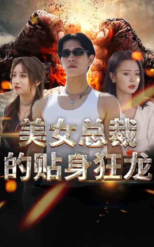 美女总裁的贴身狂龙（85集）-紫橙资源网