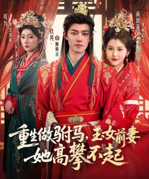 重生做驸马，玉女前妻她高攀不起（79集全）玖月＆尚雨茜＆可为-紫橙资源网
