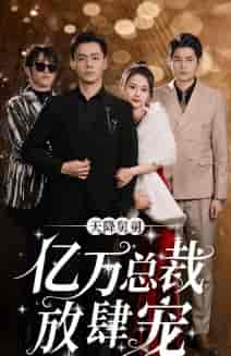 天降舅舅亿万总裁放肆宠（71集）-紫橙资源网