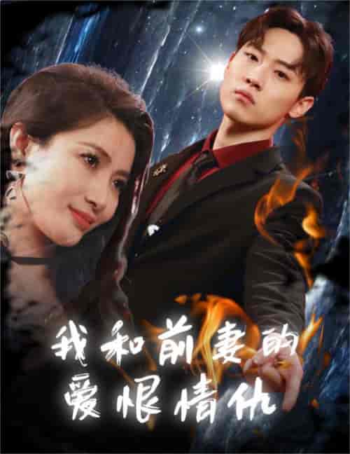 我和前妻的爱恨情仇（85集）-紫橙资源网