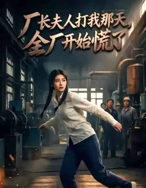 厂长夫人打我那天全厂开始慌了（44集全）-紫橙资源网