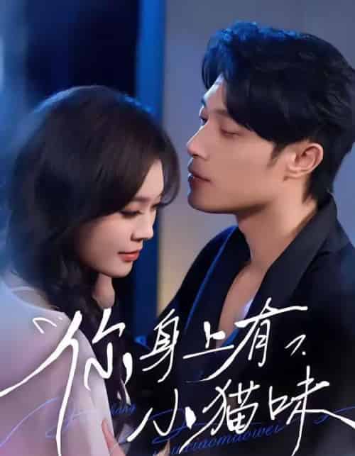 你身上有小猫味（47集全）韩悦＆一安羊-紫橙资源网